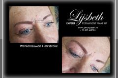 2019-03-01 SM hairstroke labina donkerbruin lijsbeth