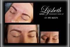 PMULIJSBETH 2018-01-03 JJ Hairstroke Wenkbrauwen