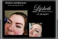 2018-05-03 pmulijsbeth ombre wenkbrauw