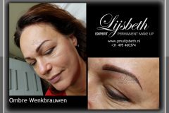 2018-08-27 lijsbeth.nl ombre wenkbrauw