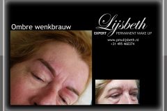 2018-09-26 BM Ombre wenkbrauw