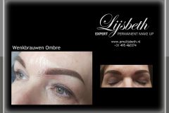 2019-01-27pmulijsbeth ombre wenkbrauwen